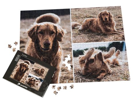 puzzleyou|Personalised Jigsaw 1000 Pieces .